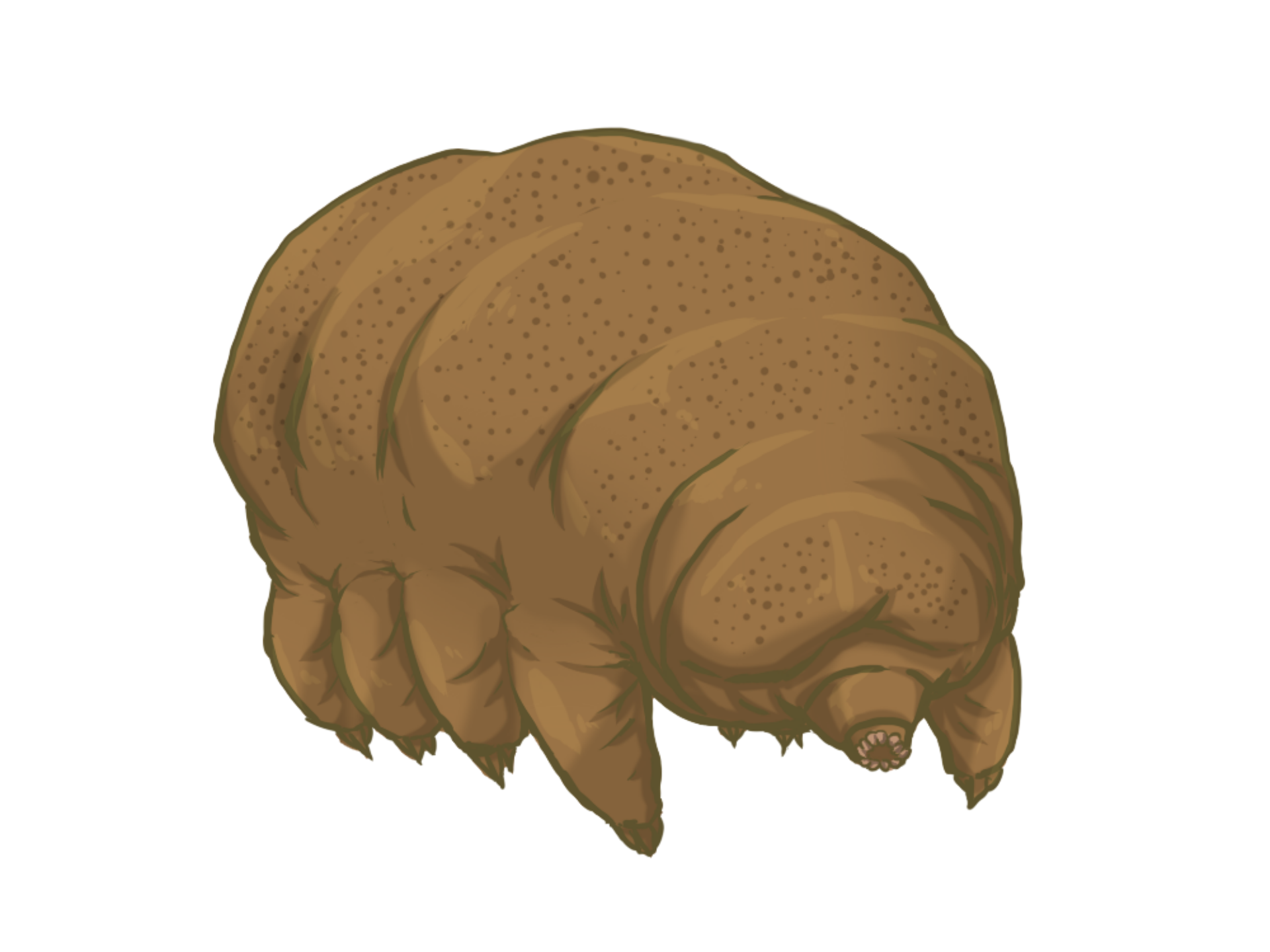 Stylized tardigrade illustration from DBCLS